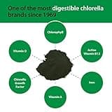 Sun Chlorella Powder Green Algae Superfood Supplement Supports Whole Body Wellness Immune Defense, Gut Health & Natural Energy Boost - Chlorophyll, B12, Protein, Non-GMO - 30 Packets