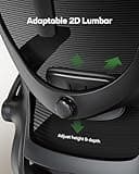 Marsail Ergonomic Office Chair: Office Computer Desk Chair with High Back Mesh and Adjustable Lumbar Support Rolling Work Swivel Task Chairs with Wheel 3D Armrests and Headrest