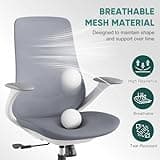 Ergonomic Executive Office Chair with Adjustable Arms Home Office Desk Chair with 3-Level Tilt Backrest and Swivel Rolling Computer Chair for Study, Gaming Leisure and Work Grey