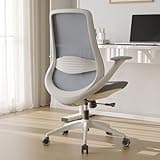 Ergonomic Executive Office Chair with Adjustable Arms Home Office Desk Chair with 3-Level Tilt Backrest and Swivel Rolling Computer Chair for Study, Gaming Leisure and Work Grey