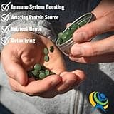 On Target Living Organic Chlorella Tablets | USDA Organic | 1000 Tablets | Immune System Boosting | Chlorophyll | Recovery | Athletic Performance | Premium Quality