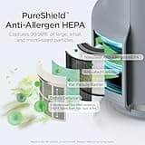 Shark NeverChange Air Purifier Compact Pro with Long-lasting HEPA Exceeding Filtration, For Pet Dander, Dust, Smoke, Allergens, Up to 250 sq. ft. for Bedroom, Home Office, Dorm, HP071BRN (2025)