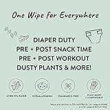 The Honest Company Clean Conscious Multi-Use Wipes | Hypoallergenic + Unscented for Sensitive Skin | Over 99% Water, Compostable, Plant Based, Baby Wipes | Pattern Play, 720 Count